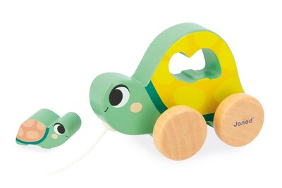 Janod Developmental Activity Box (J04064)
