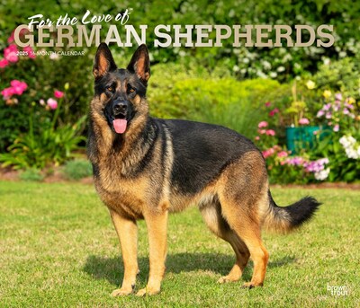 2025 BrownTrout For the Love of German Shepherds 7 x 12 Monthly  Wall Calendar (9781975473037)