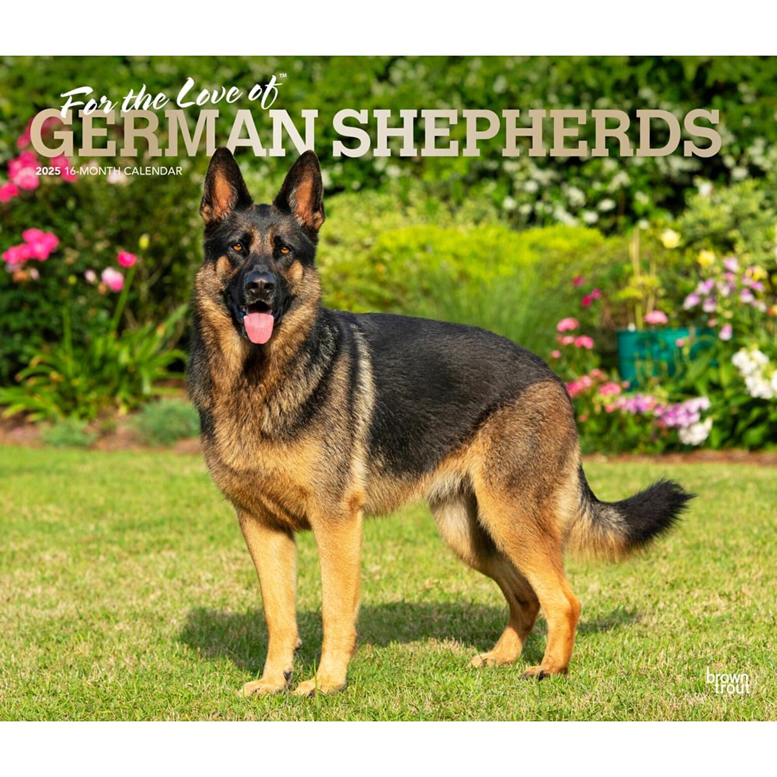 2025 BrownTrout For the Love of German Shepherds 7 x 12 Monthly  Wall Calendar (9781975473037)