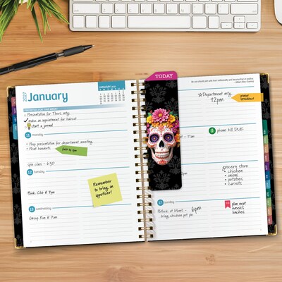 2027 Excello Brands 9 x 11 Weekly & Monthly Standard Planner, Paperboard Cover, Sugar Skull (FSHN-CY27-8511-48)