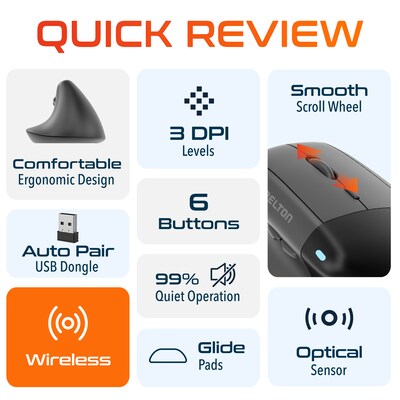 Delton S38 Wireless Ergonomic Optical Mouse, Black (DMS38-WB)