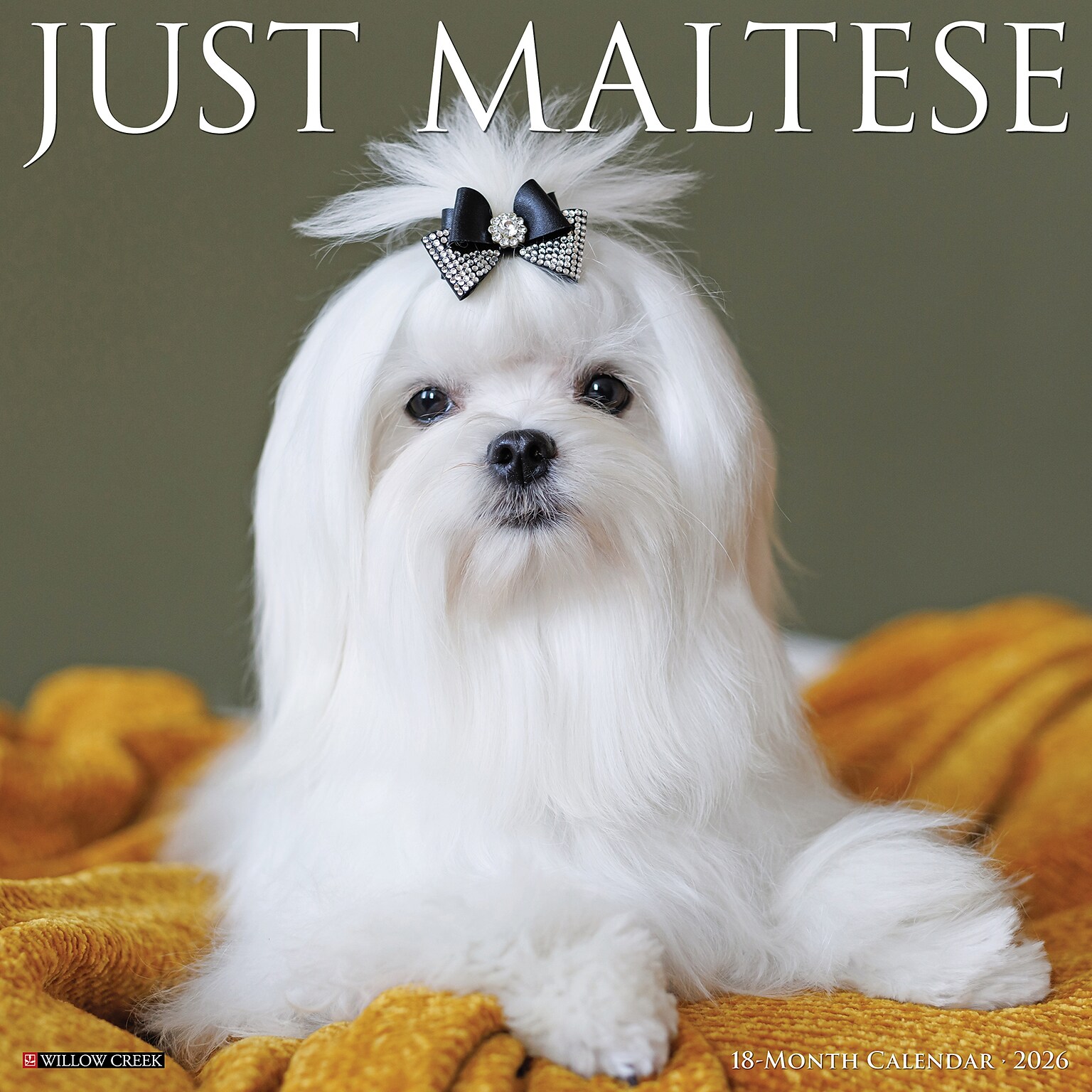 2026 Willow Creek Maltese 12 x 12 Monthly Wall Calendar (51870)