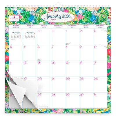 2026 BrownTrout House of Turnowsky 12" x 12" Monthly Wall Calendar (9798330707508)