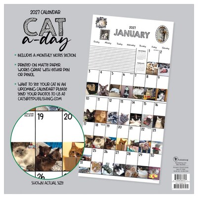 2027 TF Publishing Cat-A-Day 12" x 12" Monthly Wall Calendar (27-1002)
