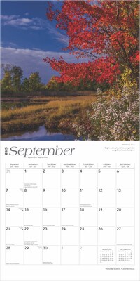 2025 BrownTrout Connecticut Wild & Scenic 12" x 24" Monthly Square Wall Calendar (9781975474720)