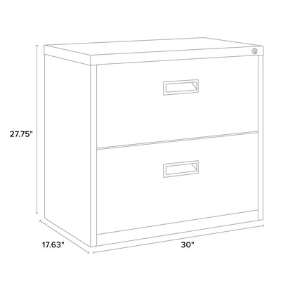 Space Solutions 2-Drawer Lateral File Cabinet, Letter-Width, Black, 30" Wide (19296)