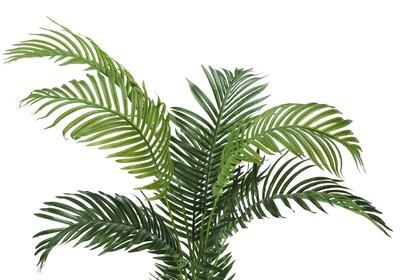 Monarch Specialties Inc. 57" Artificial Palm Tree in Pot (I 9536)