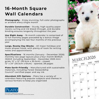 2026 Plato Puppy Pals 12" x 12" Monthly Wall Calendar (9798330706839)