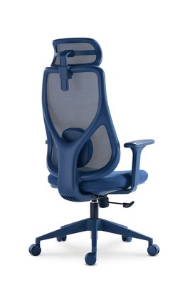 Raynor Group Torque Ergonomic Fabric/Mesh Swivel Manager Chair, Blue (TORQUE-BLU)