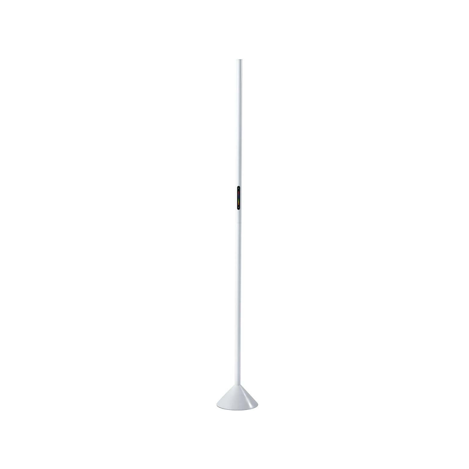 Simplee Adesso Cole 58 Matte Floor Lamp with Tubular Shade (SL4920-02)