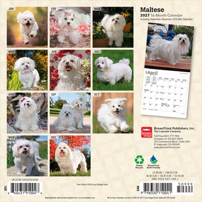 2027 BrownTrout Maltese 7 x 7 Monthly Wall Calendar (9798330710041)