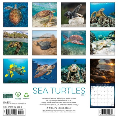 2027 Willow Creek Sea Turtles 12 x 12 Monthly Wall Calendar, Assorted Colors (62210)