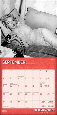 2026 BrownTrout Marilyn Monroe 7" x 7" Monthly Wall Calendar (9798330701377)