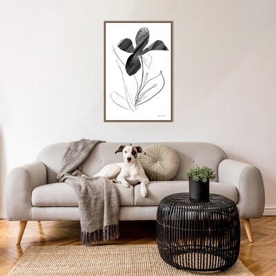 Amanti Art Paradise Plants II by Danhui Nai Framed Canvas Wall Art Print, 23 x 33 (A42678302726)
