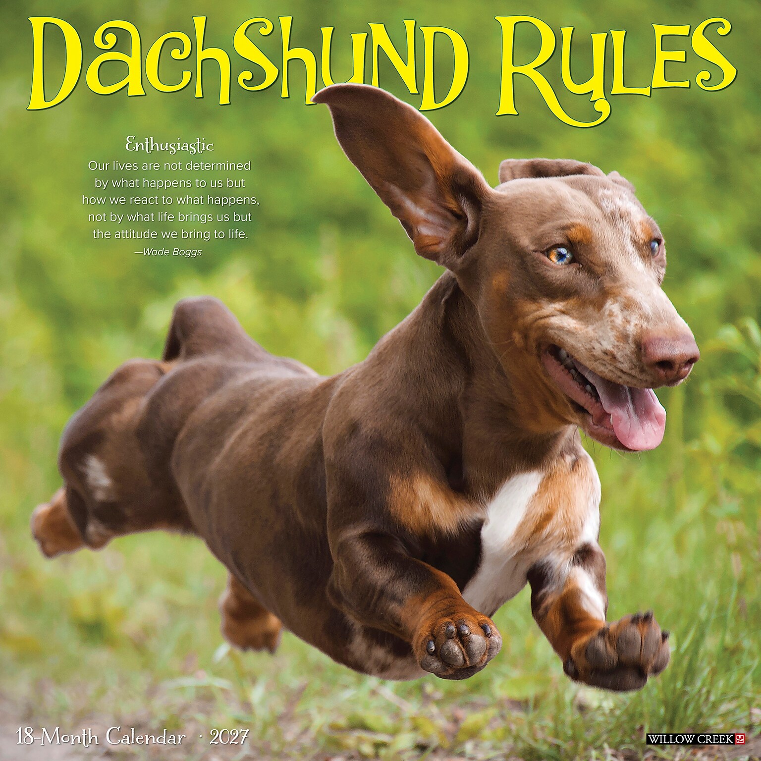 2027 Willow Creek Dachshund Rules  12 x 12 Monthly Wall Calendar (59951)