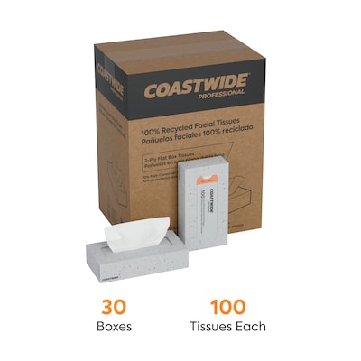 Coastwide Professional Recycled Facial Tissue, 2-Ply, 100 Sheets/Box, 30 Boxes/Carton