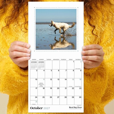 2027 TF Publishing Best Day Ever: Dogs 7" x 7" Monthly Wall Calendar, Multicolored (27-2008)