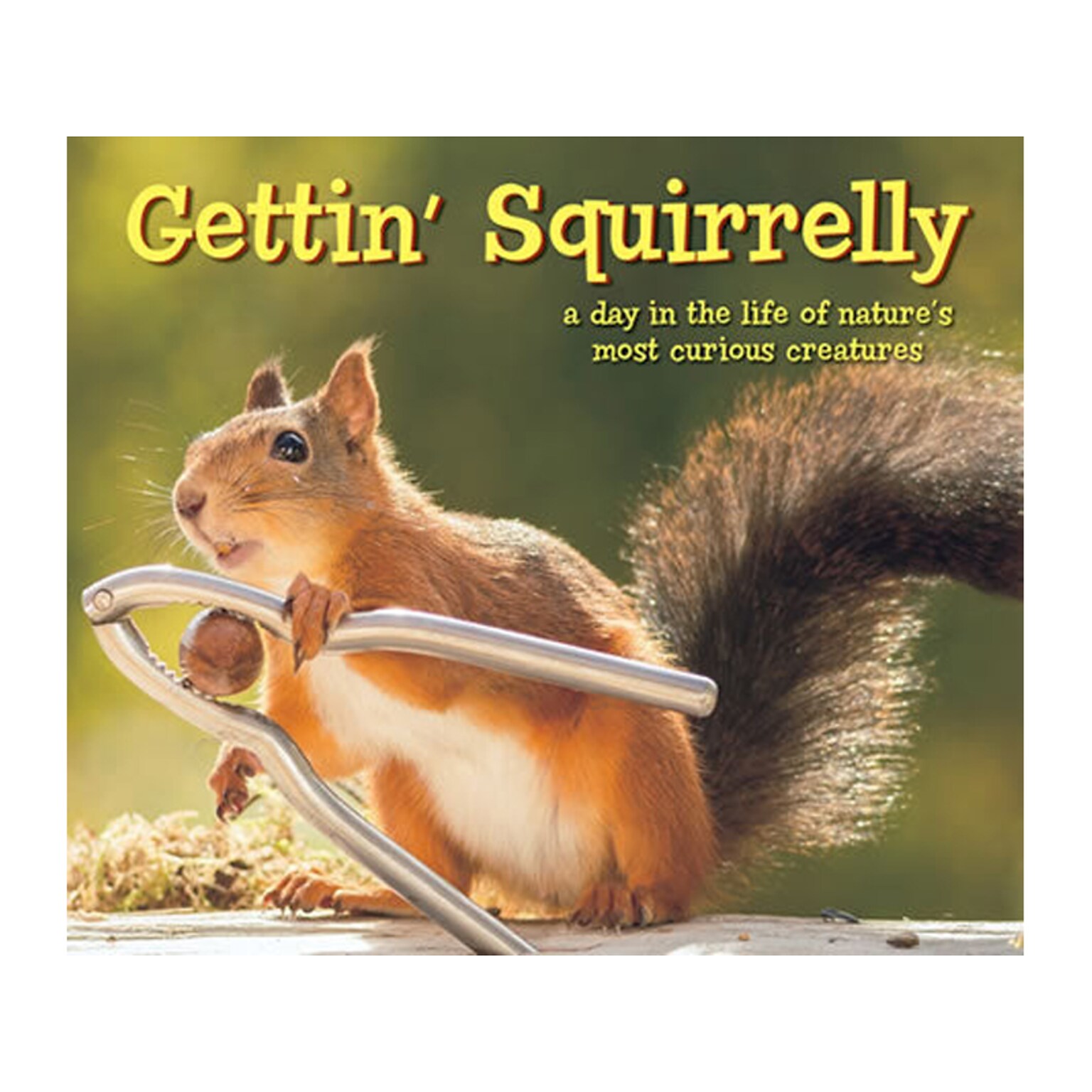 Gettin Squirrelly, Chapter Book, Hardcover (48383)