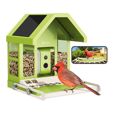 Birdfy Smart Bird Feeder with Camera, Solar Panel and AI by Subscription, Green (EPPAMBNI8172100)