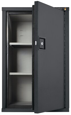 FireKing FireShield Storage Cabinet, Fire Resistant, Single Door w/ Key Lock, Black (HSC-3422-DBT)