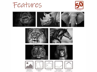 Better Office Wild Animal Portraits Cards with Envelopes, 4 x 6, Black/White, 50/Pack (64640-50PK)