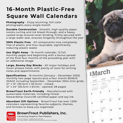 2025 BrownTrout Pug Puppies 12" x 12" Monthly Wall Calendar (9781975477561)