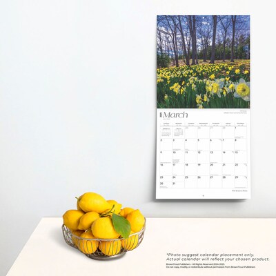 2025 BrownTrout Maine Wild & Scenic 12" x 12" Monthly Square Wall Calendar (9781975475161)