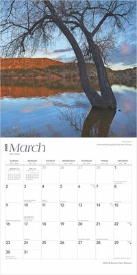 2025 BrownTrout New Mexico Wild & Scenic 12" x 12" Monthly Square Wall Calendar (9781975475406)