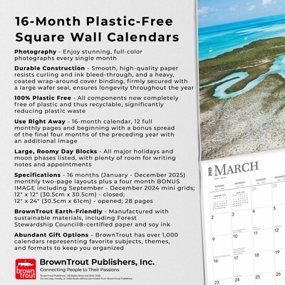 2025 BrownTrout Tropical Islands 12" x 12" Monthly Wall Calendar (9781975477899)