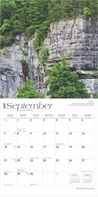 2025 BrownTrout Arkansas Wild & Scenic 12" x 12" Monthly Square Wall Calendar (9781975474478)