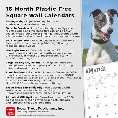 2025 BrownTrout Greyhounds 12" x 12" Monthly Wall Calendar (9781975477127)