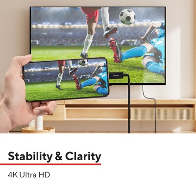 Staples TECH 6 ft. USB-C to Display Port Audio/Video Cable, Male to Male, Black (ST62471)