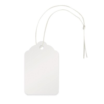 Nahanco 1 3/4 x 2 11/16 Strung All Purpose Merchandise Tag, White, 1000/Pack (8S)