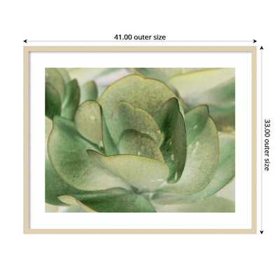 Amanti Art Petal I by Tang Ling Wood Framed Wall Art Print, 41" x 33" (A42675533997)