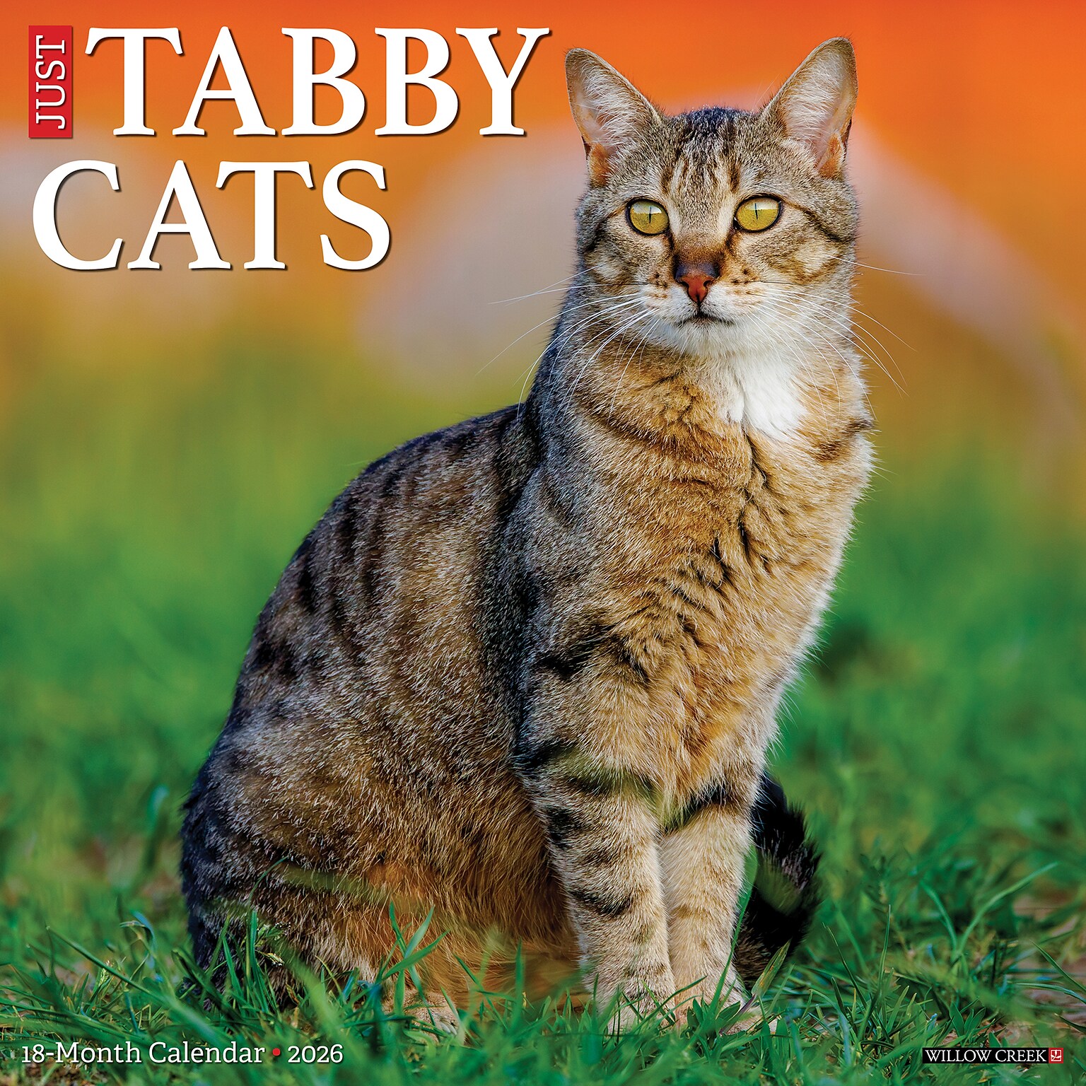 2026 Willow Creek Tabby Cats 12 x 12 Monthly Wall Calendar (52938)