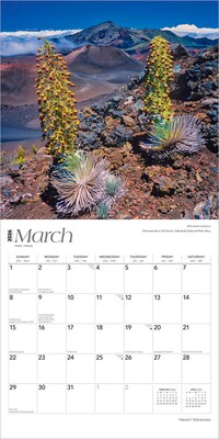 2026 BrownTrout Hawaii Volcanoes 12" x 12" Monthly Wall Calendar (9798330703593)