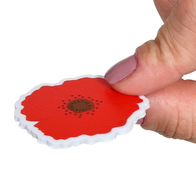 Ready2Learn Foam Flower Stickers, Multicolored, 152/Pack (CE-10095)