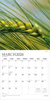 2026 Plato Simplicity 12" x 12" Monthly Wall Calendar (9798330706686)