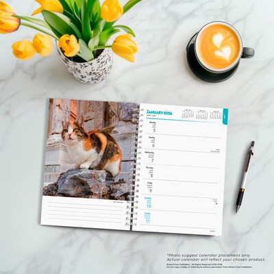 2026 BrownTrout Cat Lovers 6.5" x 7.75" Weekly Planner (9798330702763)