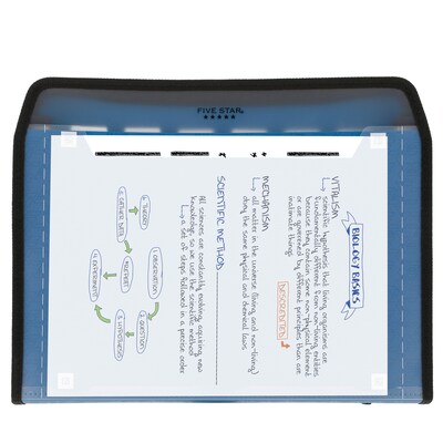 Five Star Customizable Plastic Accordion File ,7-Pocket, Letter Size, Assorted Colors (35170)