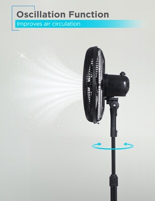 Black & Decker 16" Oscillating Pedestal Fan, 3-Speed, Black (BFP16MXB)
