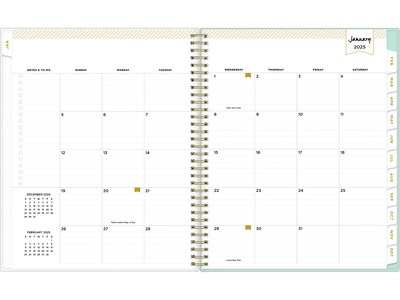 2025 Blue Sky Day Designer Secret Garden Mint Green 8.5" x 11" Weekly & Monthly Planner, Plastic Cover, Multicolor