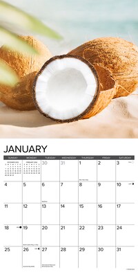 2026 Willow Creek Tropic Like It’s Hot 12" x 12" Monthly Wall Calendar (56196)