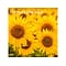 2024 BrownTrout Sunflowers 12 x 12 Monthly Wall Calendar (9781975465223)