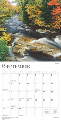 2025 BrownTrout Blessings 12" x 12" Monthly Wall Calendar (9781975476656)