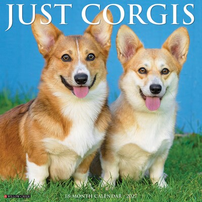 2027 Willow Creek Corgis 12 x 12 Monthly Wall Calendar, Assorted Colors (59852)