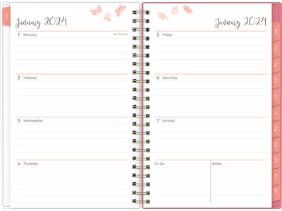 2024 Blue Sky Fly By 5 x 8 Weekly & Monthly Planner, Multicolor (140196-24)
