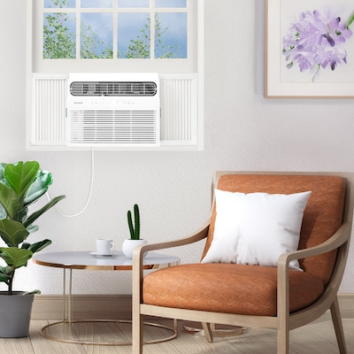 Frigidaire 230-Volt 18800 BTU Window Air Conditioner with Remote, White (FHWH184WB2)