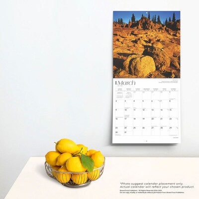 2025 BrownTrout Cascades 12" x 12" Monthly Wall Calendar (9781975474607)