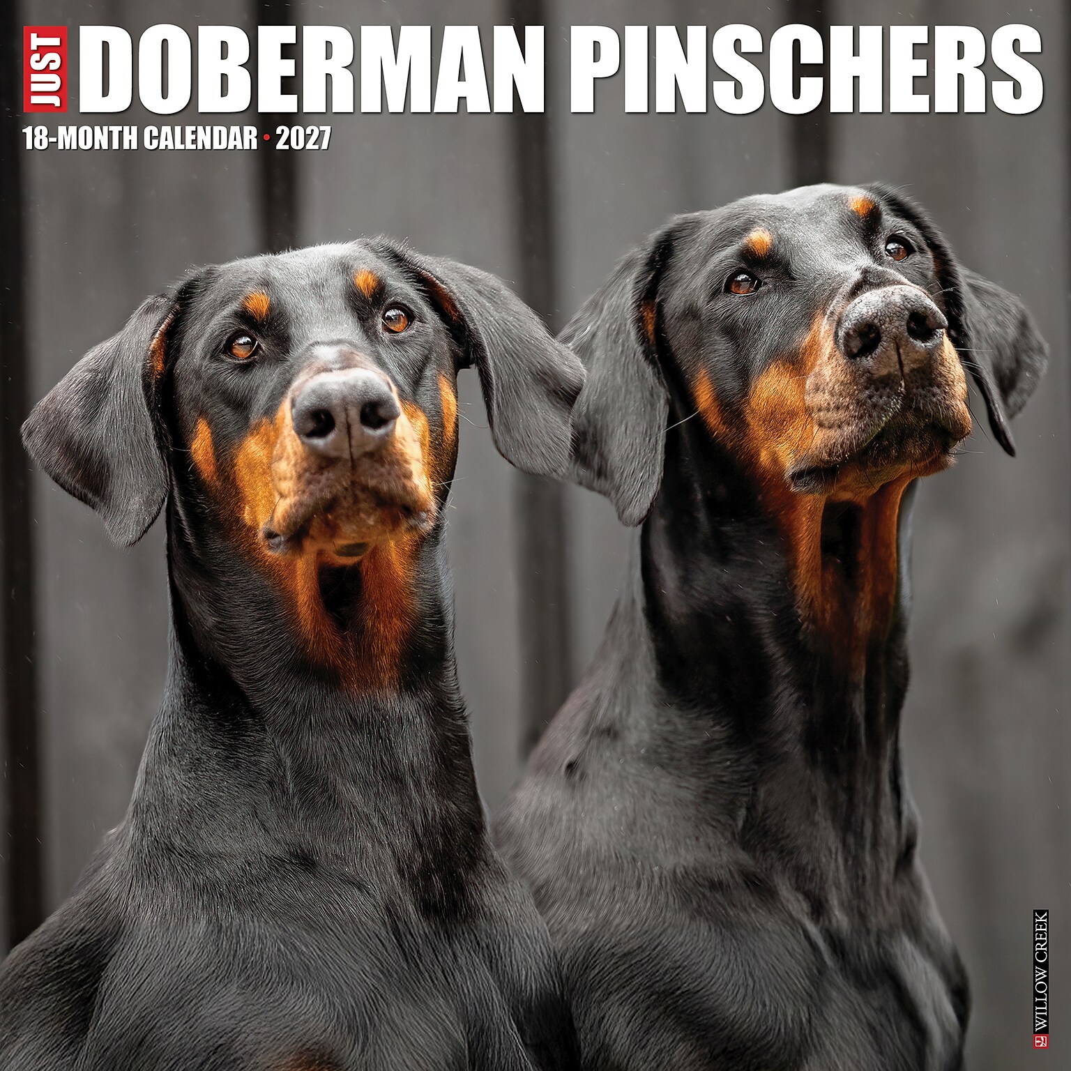 2027 Willow Creek Doberman Pinschers  12 x 12 Monthly Wall Calendar (60025)
